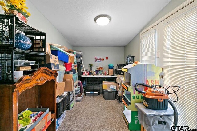 182 Moses St, Rusk, TX 75785 - view of storage area
