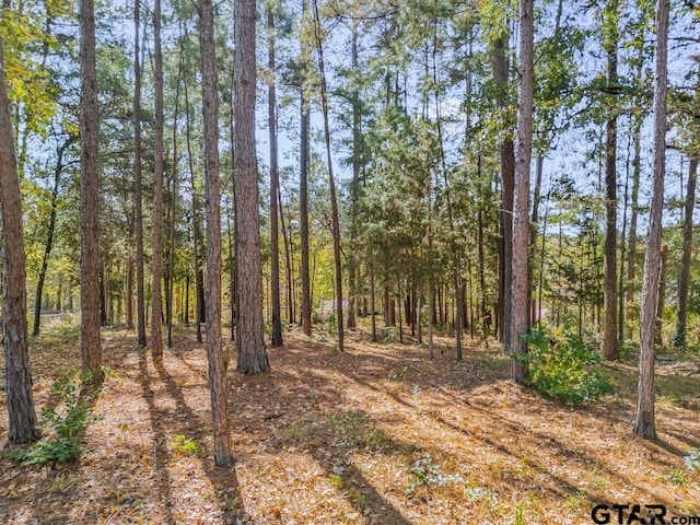 TBD Bob White Dr, Gilmer TX, 75645 land for sale