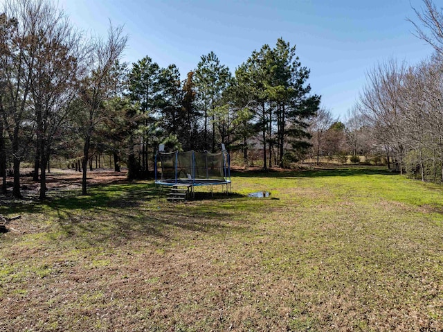 view of yard with a trampoline