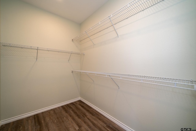 walk in closet with dark hardwood / wood-style floors