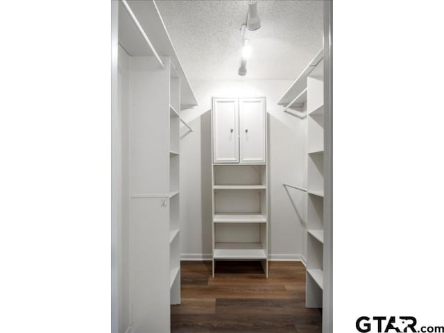 walk in closet featuring dark wood finished floors