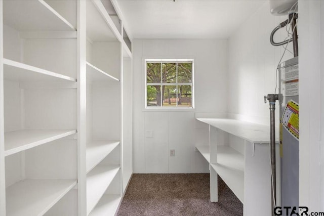 spacious closet featuring gas water heater and carpet