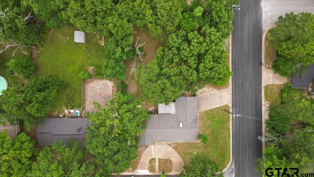 bird's eye view