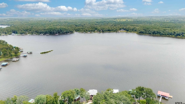 16822 Perry St, Tyler, TX 75707 - aerial view of a forest and a large body of water