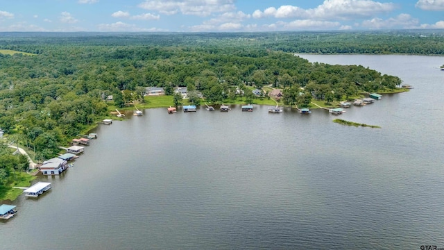 16822 Perry St, Tyler, TX 75707 - bird's eye view of a heavily wooded area and a large body of water