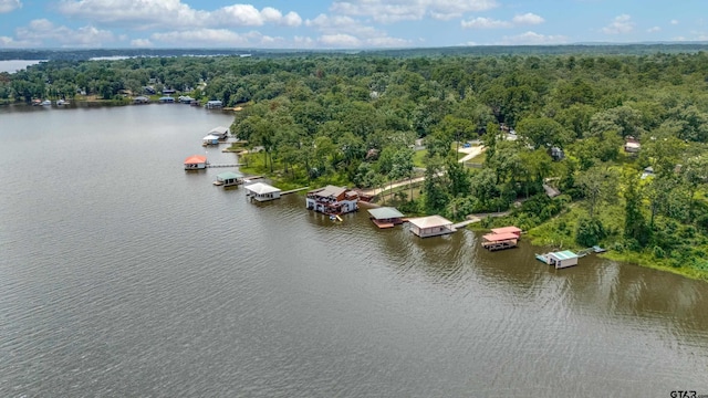16822 Perry St, Tyler, TX 75707 - drone / aerial view of a nearby body of water and a forest