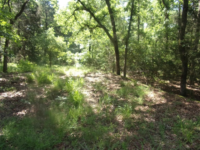 tbd Wildwood, Murchison TX, 75778 land for sale