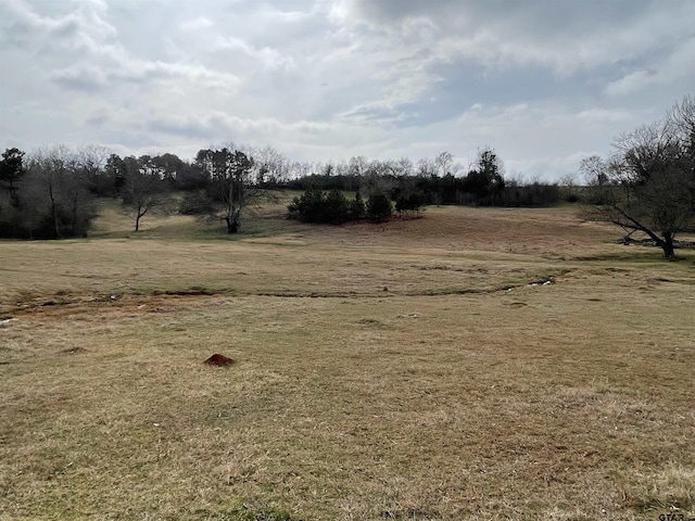 101 County Road 3504, Bullard TX, 75757 land for sale