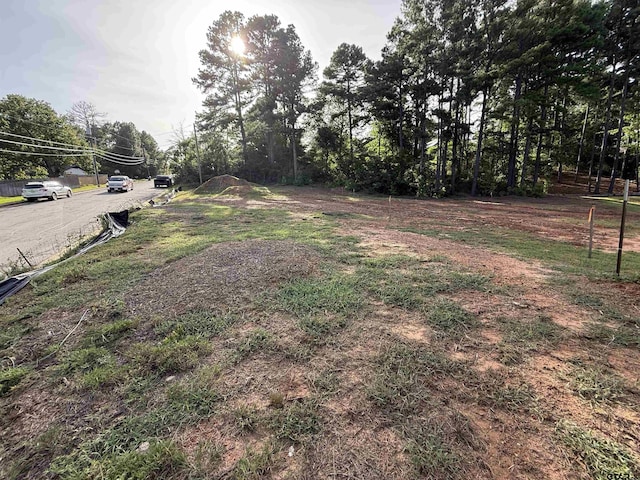 1209 Terre Haute Dr, Tyler, TX 75701 - photo 4