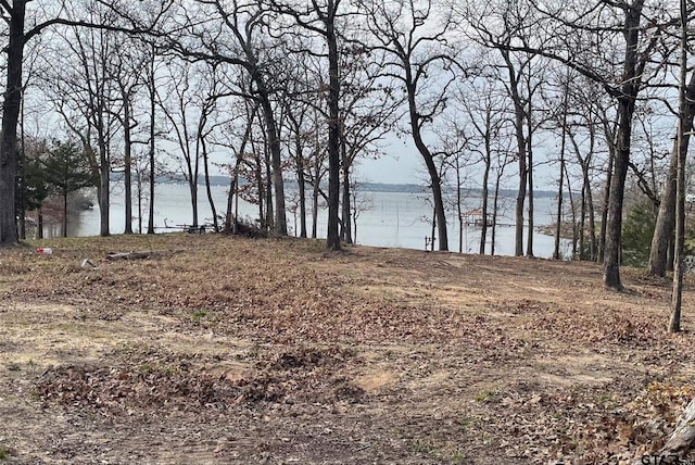 Listing photo 2 for LakeForkLot Indian Gap, Quitman TX 75783