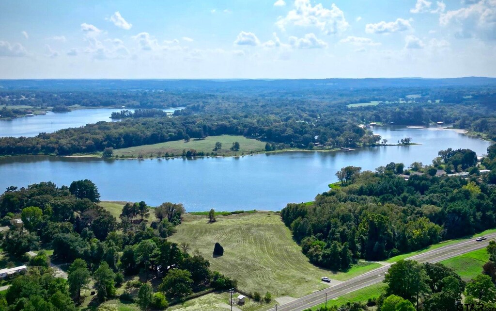 7810 Fm 3506, Frankston, TX 75763 - bird's eye view of a nearby body of water and a forest