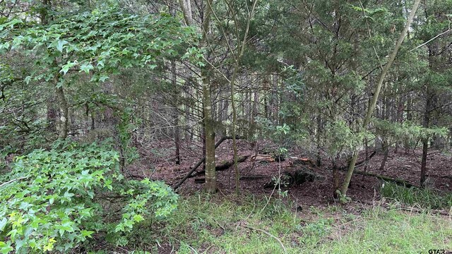 TBD County Road 1418, Quitman, TX 75783 - photo 14