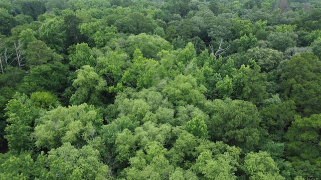 TBD County Road 1418, Quitman, TX 75783 - photo 12