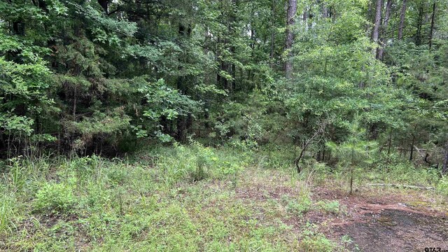 TBD County Road 1418, Quitman, TX 75783 - photo 16