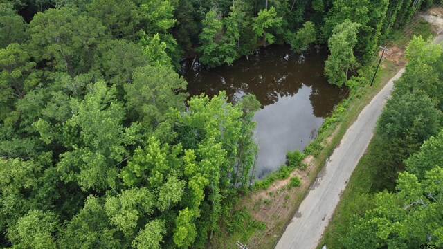 TBD County Road 1418, Quitman, TX 75783 - photo 6