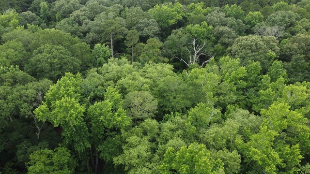 TBD County Road 1418, Quitman, TX 75783 - photo 2