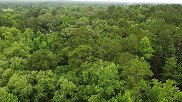 TBD County Road 1418, Quitman, TX 75783 - photo 9