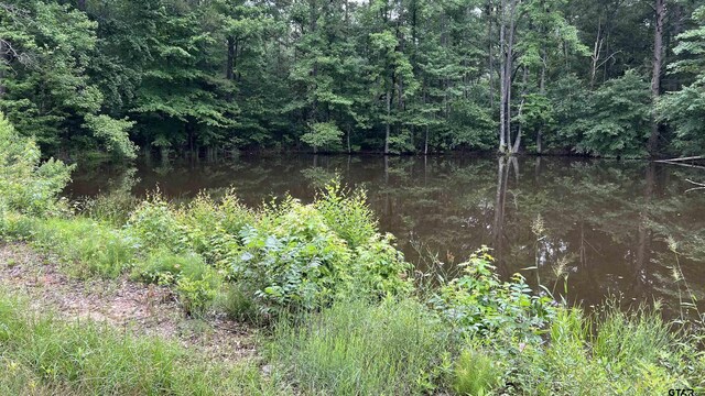TBD County Road 1418, Quitman, TX 75783 - photo 5