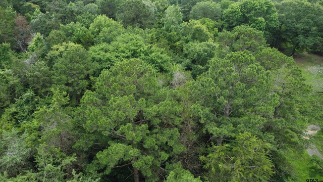 TBD County Road 1418, Quitman, TX 75783 - photo 11