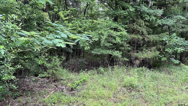 TBD County Road 1418, Quitman, TX 75783 - photo 7
