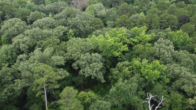 TBD County Road 1418, Quitman, TX 75783 - photo 3