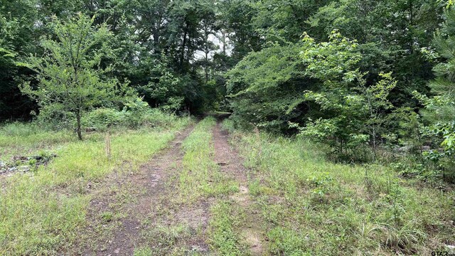TBD County Road 1418, Quitman, TX 75783 - photo 17