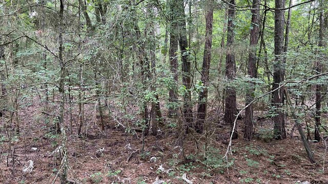 TBD County Road 1418, Quitman, TX 75783 - photo 15