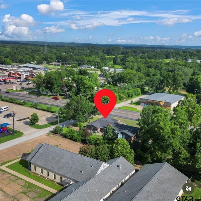 441 N Hill, Tyler, TX 75706 - bird's eye view of a forest