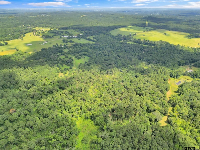 441 N Hill, Tyler, TX 75706 - aerial overview of property's location featuring a forest
