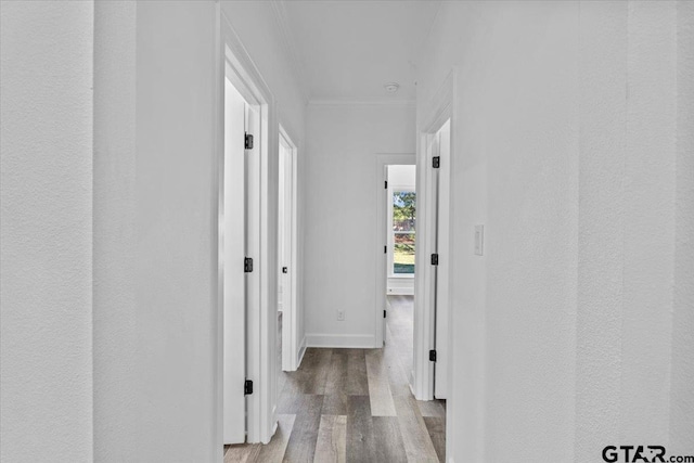 hallway featuring crown molding and light hardwood / wood-style flooring