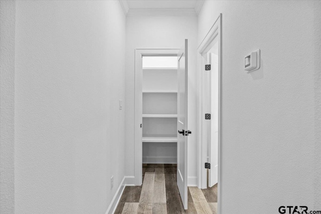 hallway with wood-type flooring and crown molding