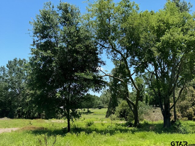 17846 E Fm 346, Troup, TX 75789 - photo 2