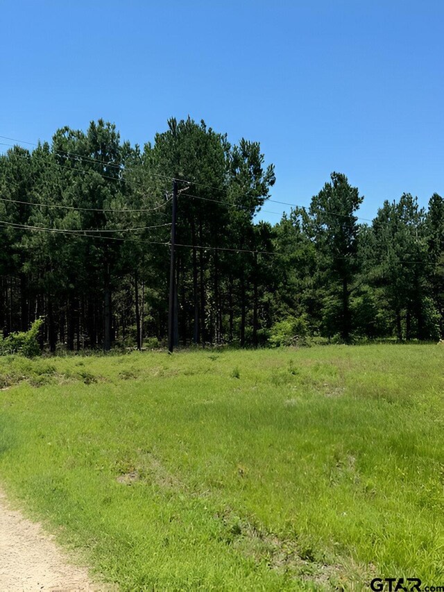 17846 E Fm 346, Troup, TX 75789 - photo 3
