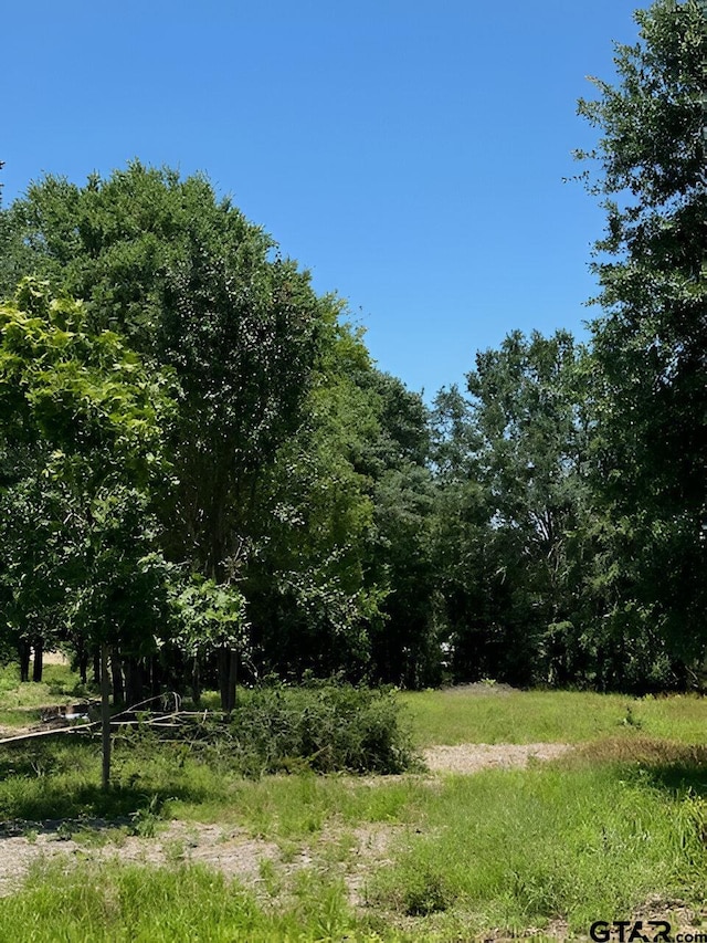 17846 E Fm 346, Troup TX, 75789 land for sale