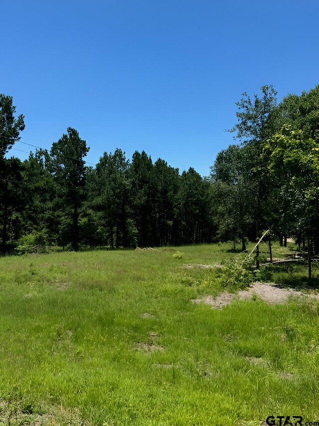 17846 E Fm 346, Troup, TX 75789 - photo 4