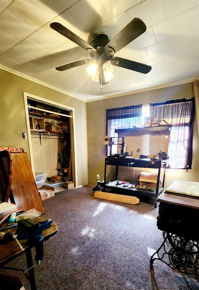 carpeted bedroom featuring a closet, ornamental molding, and ceiling fan