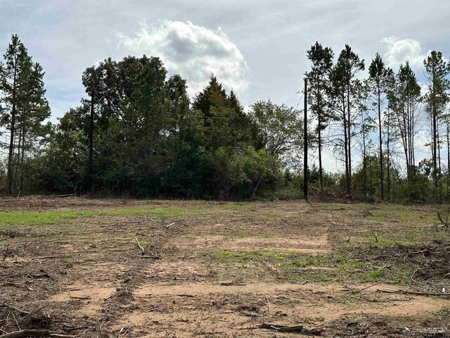 702 N Jarvis, Troup, TX 75789 - photo 5