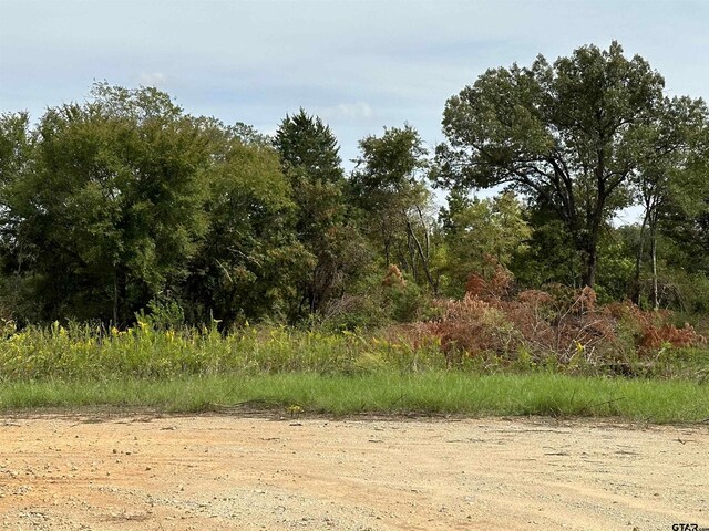 702 N Jarvis, Troup, TX 75789 - photo 6