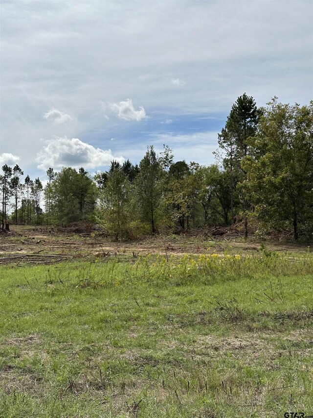 702 N Jarvis, Troup, TX 75789 - photo 4