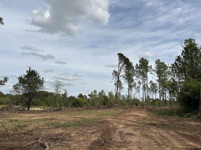 702 N Jarvis, Troup, TX 75789 - photo 7