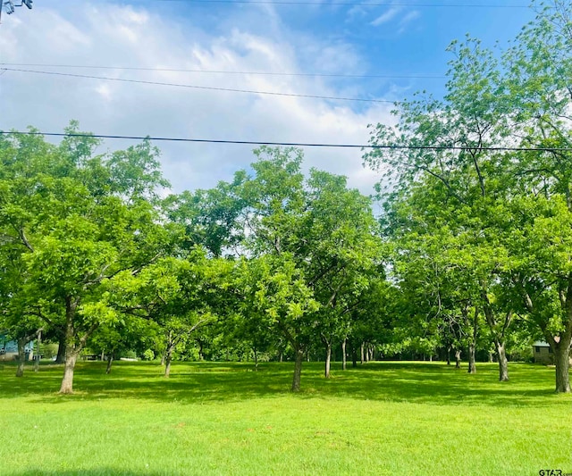 Listing photo 2 for LOT3PECANGR Pineda St, Jacksonville TX 75766