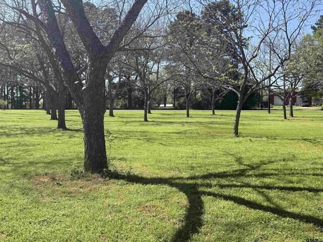 LOT3PECANGR Pineda St, Jacksonville, TX 75766 - photo 2