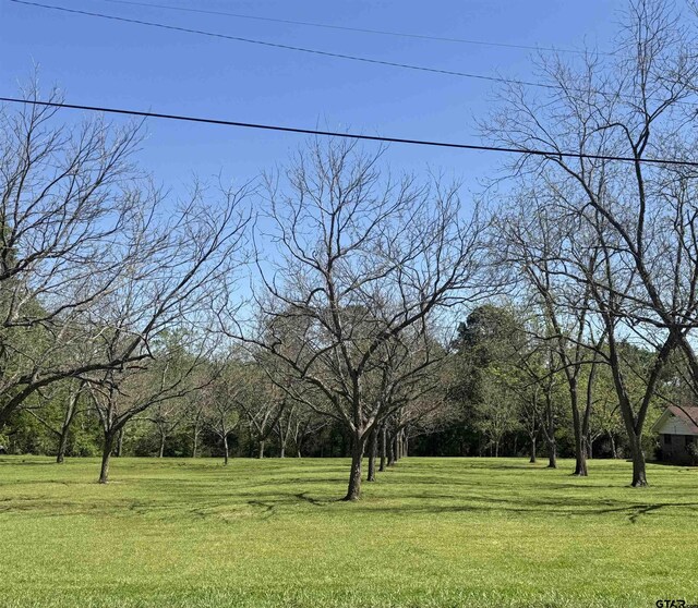 LOT3PECANGR Pineda St, Jacksonville, TX 75766 - photo 4