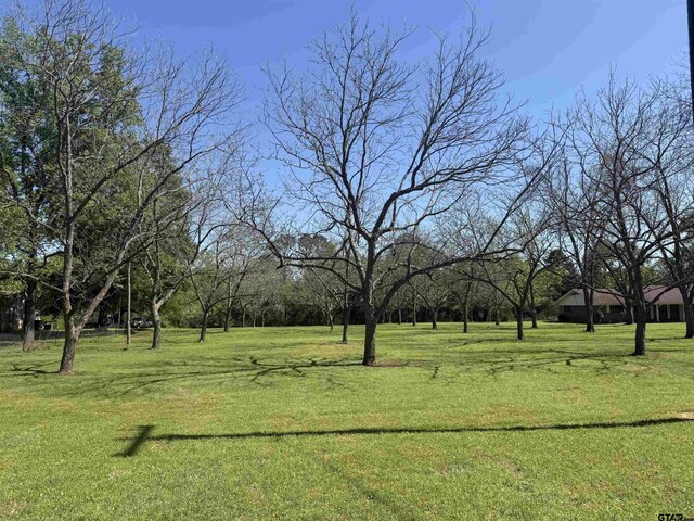 LOT3PECANGR Pineda St, Jacksonville, TX 75766 - photo 5