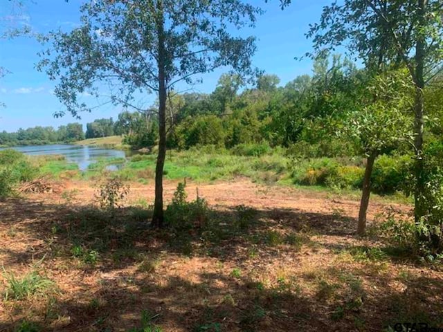 15959 Fm 2015, Tyler TX, 75706 land for sale