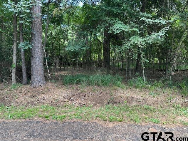 0000 Flamingtree Way, Flint, TX 75762