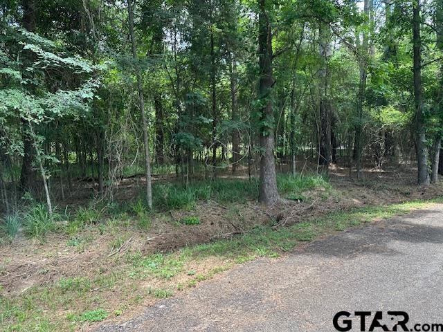 0000 Flamingtree Way, Flint, TX 75762