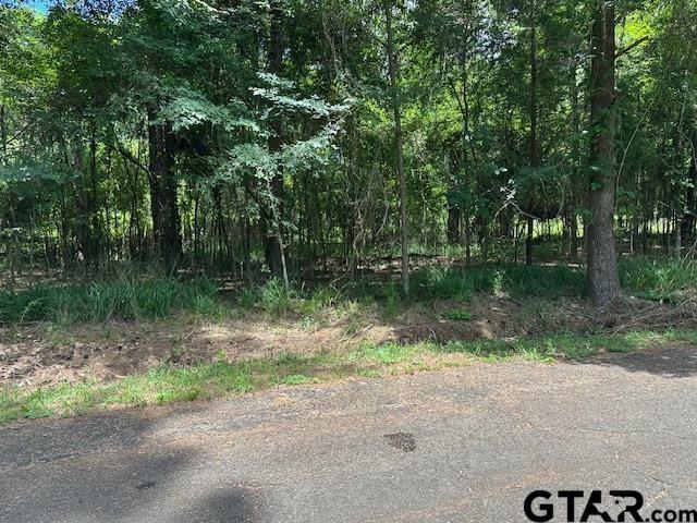 0000 Flamingtree Way, Flint, TX 75762