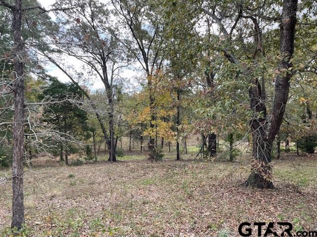 2825 J Cupit Ct, Tyler TX, 75709 land for sale