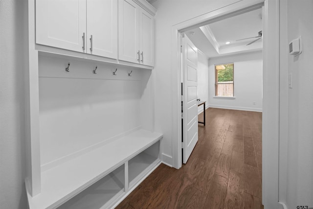 4132 Palo Pinto Creek Cir, Tyler, TX 75703 - mudroom with dark wood finished floors, a raised ceiling, a ceiling fan, baseboards, and recessed lighting